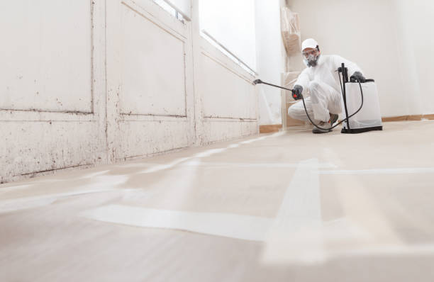 24/7 Emergency Mold Remediation experts in Newport News, VA
